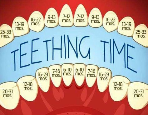 Teething Chart, Pinterest Baby, Baby Trivia, Foto Newborn, Baby Information, Newborn Baby Tips, Baby Life Hacks, Baby Facts, Baby Planning