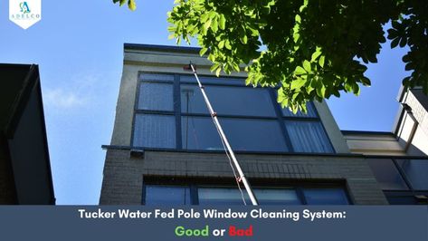 Still using the traditional techniques for window cleaning! Now get your property's high rise windows more cleaner with the most advanced and safest Tucker Water Fed Pole System. Read out the blog and discover how the Tucker Water Fed Pole Window cleaning is safest and best for effective window cleaning. Professional Window Cleaning, Clean Windows, Window Cleaning Services, Endangered Plants, Water Purification System, Cleaning System, Window Cleaning, Water Usage, Water Purification