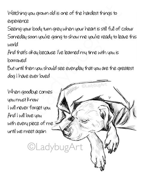 Getting Old Quotes, Old Dog Quotes, Losing A Pet Quotes, Miss My Dog, Dog Poems, Mother Poems, Dog Quotes Love, Old Dog, Bug Art