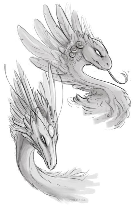 #flightrising #coatl #skydancer #art Flight Rising, Lily Tattoo, Dragon Art, Dnd Characters, Zbrush, Fantasy Character Design, Fantasy Creatures, Animal Drawings, Flight