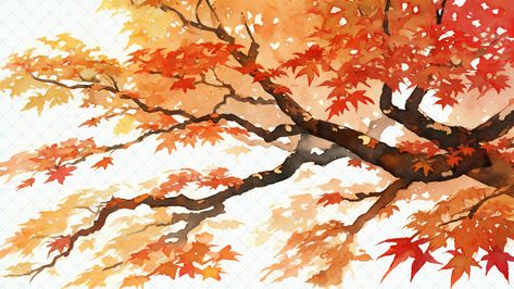 A branch of a Japanese Maple tree with leaves of varying shades of orange, yellow and red. It is painted in watercolour on a white background. Japanese Maple Tree Painting, Maple Tree Watercolor, Maple Tree Painting, Chinese Maple Tree, Fall Tree Watercolor Painting, Maple Tree Bark, 3ds Themes, Autumn Tree Branch, Maple Leaf Tree