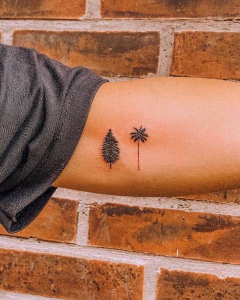 Pine tree and palm tree tattoo on the inner arm. Half Palm Tree Half Pine Tree Tattoo, Palm Tree And Evergreen Tree Tattoo, Palm Tree Pine Tree Tattoo, Mountain And Palm Tree Tattoo, Southern Tattoos For Women, Southern Tattoos, 55 Tattoo, Greek Symbol Tattoo, Aspen Trees Tattoo