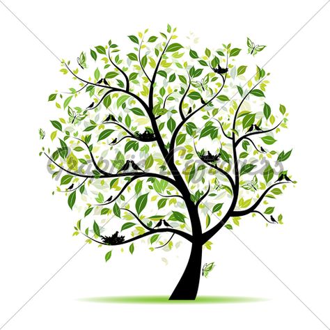 It starts as a mustard seed and grows into a tree where the fowls of the air find refuge. Tree Clipart, Celtic Tree Of Life, Spring Tree, Celtic Tree, Tree Photography, Bird Tree, Art Et Illustration, Tree Silhouette, Green Trees