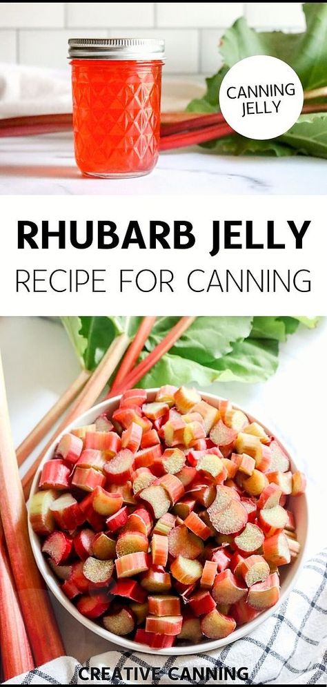 Master the art of canning with this Rhubarb Jelly Recipe, a standout in Canning Jelly Recipes & Homemade Jelly. Using just rhubarb, sugar, and pectin, you'll create a luscious jelly that captures the essence of spring in every jar. Ideal for tea time treats or as a sweet gift. Dive into more fruit preserves and home canning recipes at creativecanning.com. Homemade Jellies And Jams, Home Made Jelly Recipes, Rhubarb Jelly Recipes, Jelly Recipes For Canning, Canning Jelly Recipes, Pressure Canner Recipes, Creative Canning, Canning Fruit Recipes, Healthy Rhubarb Recipes