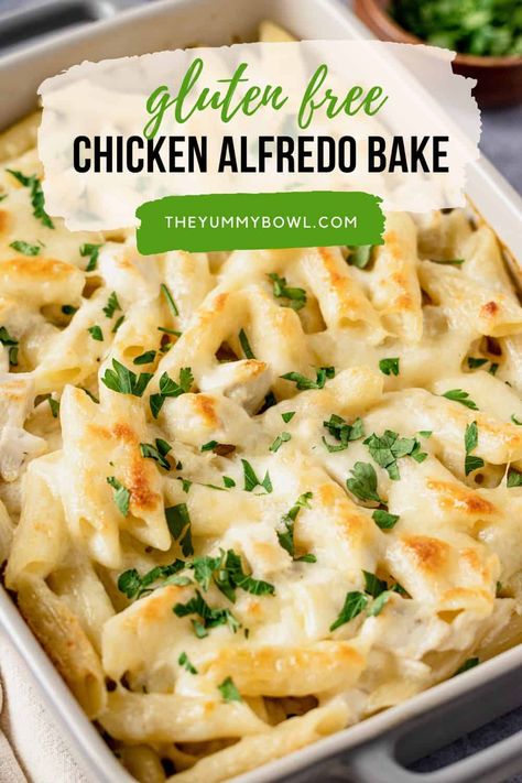 Gluten-Free Chicken Alfredo Pasta Bake is one of our go-to pasta dinners. This gluten-free recipe combines simple ingredients like penne pasta, chicken, and creamy alfredo sauce. It is often made with cajun chicken or broccoli but we are going to skip this for easy prep and make it a quick weeknight dinner meal instead. Gluten Free Chicken Alfredo, Gluten Free Chicken Casserole, Baked Chicken Alfredo, Chicken Alfredo Pasta Bake, Gluten Free Pasta Dishes, Alfredo Pasta Bake, Gluten Free Casserole, Baked Chicken Alfredo Pasta, Alfredo Bake