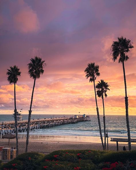 🍁 Fall is here, which means the sky is getting darker earlier. Not all parts of the country get dark as early like us in SoCal. But if getting sunsets that look like this mean shorter days; I’m all for it. • • • • • • • • • • • • #theoc #orangecounty #orangecountyca #allthingsorangecounty #sanclemente #westcoast #california #southerncalifornia #californiadreaming #paintedsky #beautifulsunsets #colorsofthesky #cloudysunset #lovesunsets #orangesunset #skypics #sunrise_pics #sunsetsniper... Sunrise Pics, Sunset California, San Clemente California, The O.c., California Aesthetic, Winter Arc, Sunrise Pictures, California Sunset, California Lifestyle