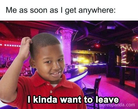 Socially Awkward, Work Memes, What’s Going On, Funny Tweets, Best Memes, Funny Laugh, Memes Quotes, Relatable Quotes, Mood Pics