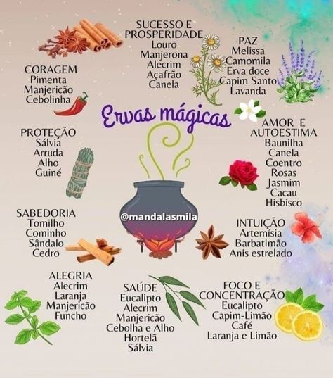 Descubra os benefícios da Aromaterapia e torne-se uma Aromaterapeuta para trabalhar atendendo online ou presencialmente. Clique no site e saiba mais! Spirit Magic, Tarot Significado, Nature Witch, Magia Das Ervas, Wiccan Spells, Green Witch, Natural Herbs, Magic Spells, Stitch Disney