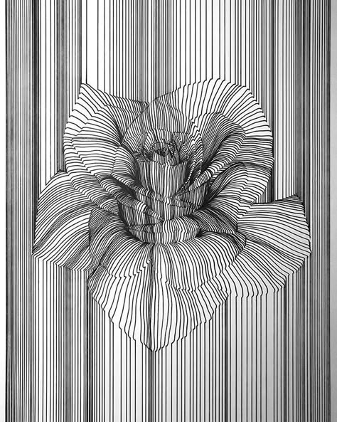 #Repost @aartfinesse  Titled Bloom. I wanted to do this using horizontal lines but my art instincts was telling me to do it n vertical lines. What do you guys think of this second rose piece?  #aartfinesse #nesterformentera Nester Formentera, Personal Investigation, Monochromatic Art, Art Articles, Geometric Design Art, Parallel Lines, Simple Designs To Draw, Horizontal Lines, Zentangle Drawings