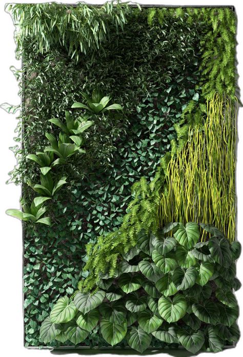 Drip Watering System, Diy Vertical Garden, Vertikal Garden, Vertical Garden Plants, Garden Wall Designs, Vertical Garden Design, Vertical Garden Wall, Vertical Garden Diy, Watering System