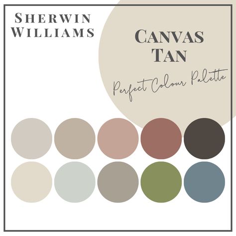 Canvas Tan - Perfect Colour Palettes - Claire Jefford Canvas Tan Color Palette, Canvas Tan Color Scheme, Canvas Tan Sherwin Williams, Tan Accent Wall, Benjamin Moore Paint Colours, Tan Color Palette, Anew Gray, Sherwin Williams Color Palette, Sherwin Williams Paint