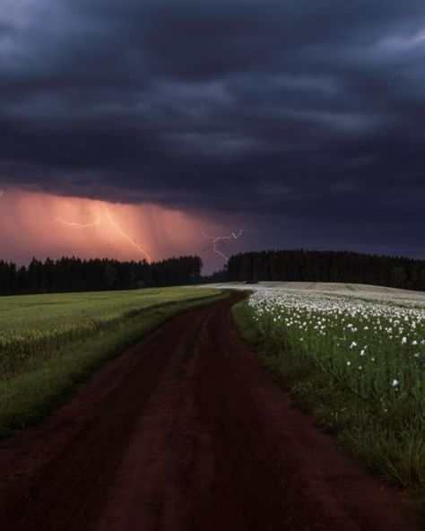 My #Morning #Pathway 🌲⛈️🌿🦆☕️😋🤚 : : : : #insta #instadaily #ınstagood #minnesota #MN #storm Republic City, Storm Photography, Highway To Hell, Summer Storm, Dreamy Photography, Scenery Pictures, Grass Field, Storm Clouds, Dark Skies