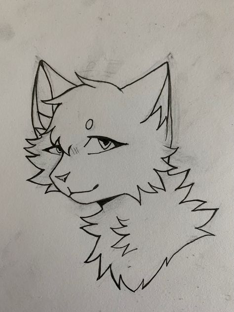 Warrior Cats Art Base, Warrior Drawing, Warrior Cat Drawings, Cat Sketch, Oc Drawings, Warrior Cats Art, Cute Doodle Art, Mini Drawings, Warrior Cat