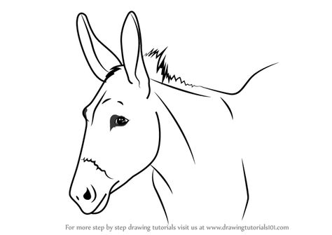 How to Draw a Donkey Face - DrawingTutorials101.com How To Draw A Donkey Face, Donkey Line Drawing, Donkey Head Drawing, Donkey Drawing Easy, Donkey Doodle, Donkey Face, Donkey Head, Donkey Drawing, Donkey Art