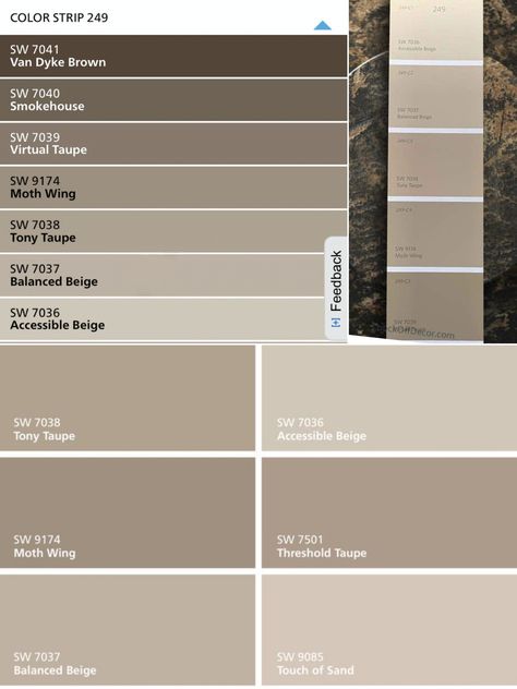 Mushroom Brown Wall Color, Taupe Color Schemes, Cabin Inside, Paint Pallets, Brown Kitchens, Brown Paint, Pallet Painting, Brown Walls, Brown Trim