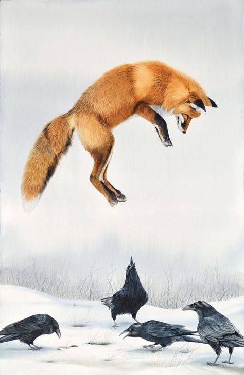 Fox Pouncing, Volpe Artica, Jumping Fox, Fox Artwork, Fox Drawing, Fox Spirit, Fox Painting, Crow Art, Fox Illustration