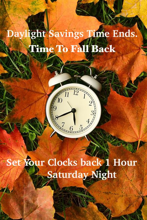 Fall Back Daylight Savings, Fall Back Quotes, Daylight Savings Fall Back, Spring Forward Fall Back, Day Light Savings, November Images, Daylight Saving Time Ends, Clocks Back, Holiday Aesthetic