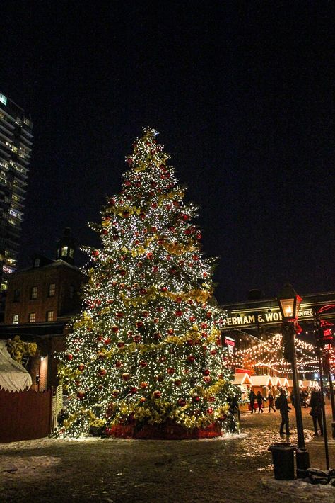 Christmas In Canada, Christmas Canada, Canadian Christmas, Canada Christmas, Am I Crazy, Canada House, City Photos, Christmas Markets, 2024 Christmas