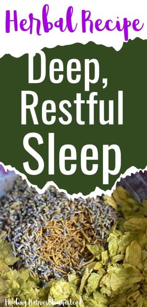 Herbs For Sleep, Sleep Beauty, Tinctures Recipes, Herbal Remedies Recipes, Sleep Tea, Herbal Tinctures, Herbal Recipes, Sleep Remedies, Natural Sleep Remedies