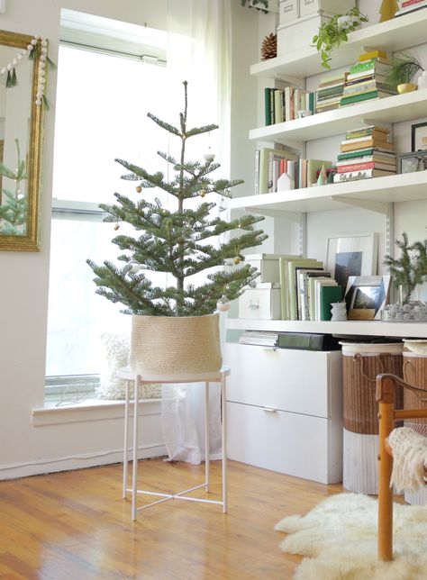 Apartment Christmas Tree Ideas, Small Space Christmas Tree, Camper Christmas, Apartment Tips, Christmas Decorations Apartment, Apartment Christmas, Small Christmas Tree, Christmas Apartment, Simple Christmas Decor