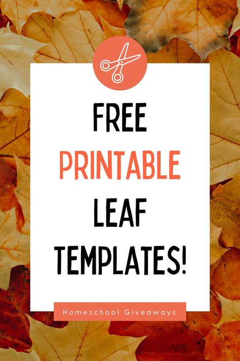 Help your little ones learn about the season changes and decorate for Fall with these printable leaf templates. Perfect for Fall arts and crafts or learning about leaves. Felt Leaves Template, Free Leaf Template Printable, Fall Leaf Template Free Printable, Leaf Template Printable Free, Leaf Patterns Printable, Fall Leaves Template Free Printable, Leaves Template Free Printable, Leaf Template Printable, Fall Leaf Template