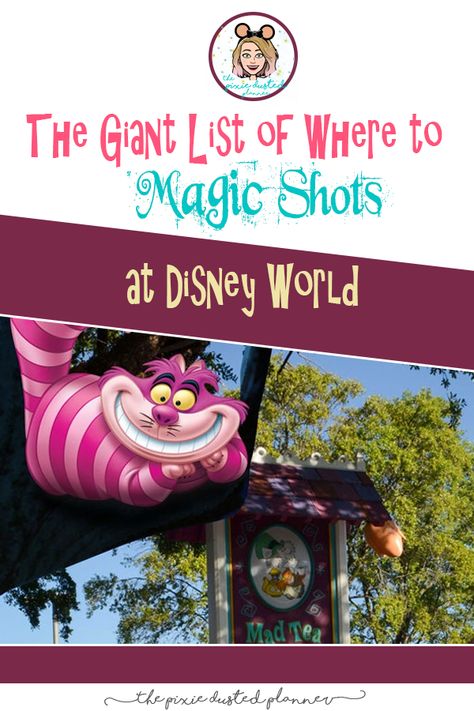 Everything You Need to Now About Memory Maker | The Pixie Dusted Planner Disney Memory Maker, Become A Travel Agent, Dumbo The Flying Elephant, Usa Trip, Florida Orlando, Memory Maker, Vacation Family, Disney Memories, Family Summer