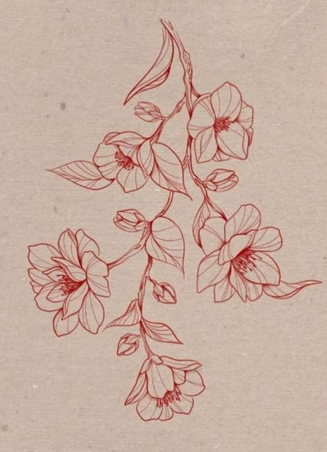 Poppies Line Art, Poppy Hip Tattoo, Poppies Drawing, Tiger Lily Tattoo, Honeysuckle Tattoo, Tiger Lily Tattoos, Tattoo School, Tattoos 2022, Flower Pattern Design Prints