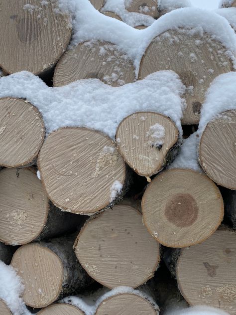 Snow, trees, aesthetics, vibe winter, winter, inspo, nature, logs Logging Aesthetic, Chalet Girl, Snow Trees, Winter Inspo, Wood Logs, Tree Stump, Lumber, Trees, Scrapbooking