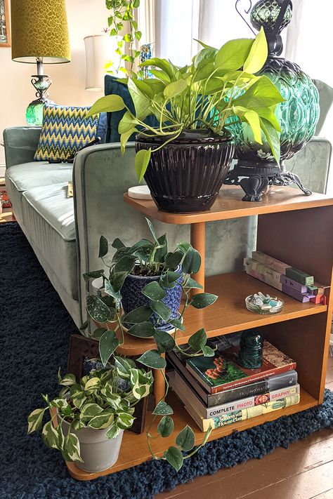 How To Propagate Pothos for Free Plants Pothos On Bookshelf, Cute Propagation Ideas, Plants House Aesthetic, Easy Diy For Home, Green Plants Living Room, Eclectic Plant Decor, Pothos Shelf, Plant Display Ideas Indoor, Styling House Plants