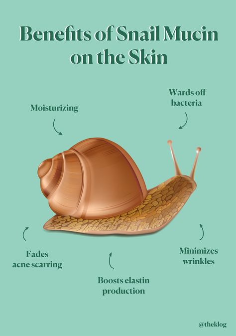 Skin Health Quotes, Snail Skincare, Snail Mucin Before And After, Snail Mucin, Glutathione Benefits, Skincare Facts, Skin Facts, Skin Care Business, Professional Skin Care Products