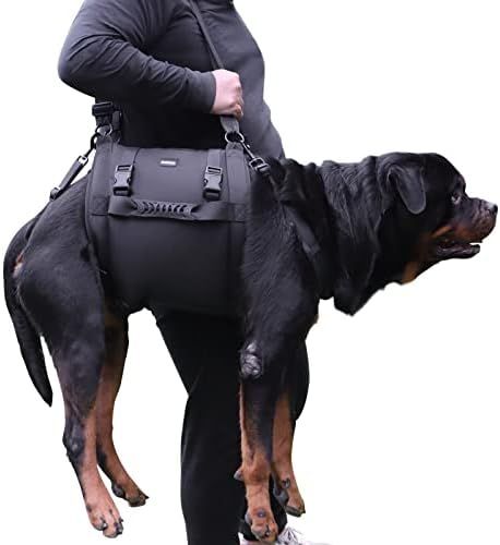 Amazon.com : Dog Carry Sling, Emergency Backpack Pet Legs Support & Rehabilitation Dog Lift Harness for Large Dogs, Dog Carrier for Senior Dogs Joint Injuries, Arthritis, Up and Down Stairs (Black, XXL) : Pet Supplies Large Dog Carrier, Stairs Black, Emergency Backpack, Dog Sling, Elderly Dogs, Dog Joints, Dog Light, Senior Dogs, Leg Support