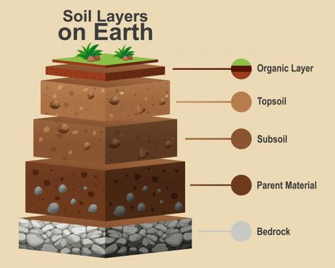 Soil Worksheet, Types Of Layers, Layers Of Soil, Natural Lawn, Earth Science Lessons, Earth Layers, Soil Texture, Rock Cycle, Lawn Care Tips