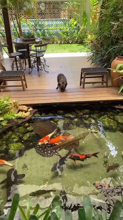 Fish Ponds Backyard, Tanaman Air, Indoor Pond, Koi Pond Design, Kolam Koi, Fish Pond Gardens, Garden Pond Design, Diy Pond, Pond Landscaping