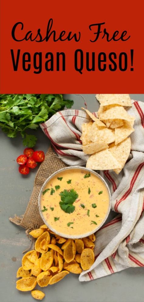 Vegan Queso (Cashew Free!) Allergy Awesomeness Rotel Queso Dip, Velveeta Rotel Dip, Rotel Queso, Velveeta Rotel, Rotel Cheese Dip, Vegan Queso Dip, Dairy Free Queso, Gluten Free Chips, Cashew Cheese Sauce