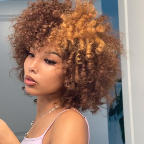 Brown And Ginger Hair, Afro Hair Dye, Dark Ginger, Hair Stripes, Cabello Afro Natural, Honey Blond, Afro Braids, Dyed Curly Hair, Honey Brown Hair