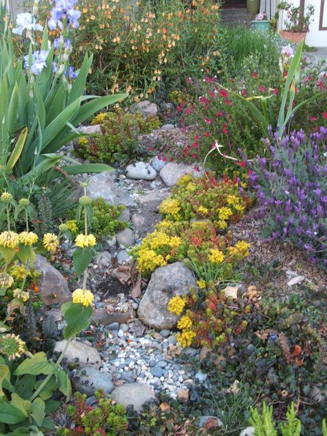 112 Larson 10 Diy Rain Garden, Rain Garden Ideas, Rain Garden Design, Dry River Bed, Landscape Front Yard, Rockery Garden, Residential Landscape Design, Backyard Landscapes, Water Wise Landscaping