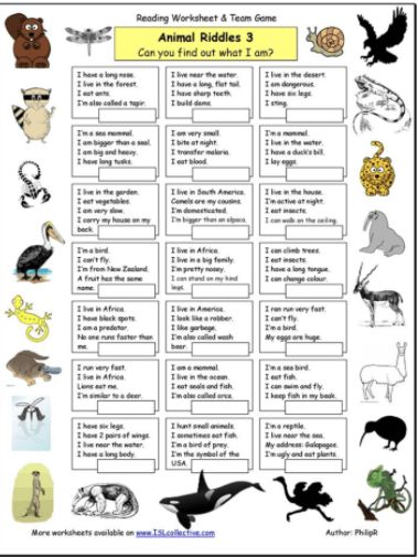 Animal Riddle Quiz Zoo Worksheets, Animal Expressions, Guess The Animal, Animal Riddles, Quizzes For Kids, Funny Animal Faces, Entertaining Kids, Zoo Activities, Pen And Paper Games