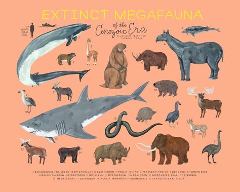 Extinct Megafauna of the Cenozoic Era | Etsy Extinct Megafauna, Animal Extinction, Cenozoic Era, Minneapolis Photography, Animals Drawing, Prehistoric World, Ancient Animals, Digital Museum, Extinct Animals