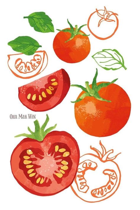 Fruit Illustration Watercolour, Food Digital Painting, Tomato Soup Illustration, Fruit Digital Painting, Fruit And Veggie Illustration, Tomato Illustration Cute, Vintage Vegetable Illustration, Cherry Tomato Illustration, Tomato Illustration Graphics