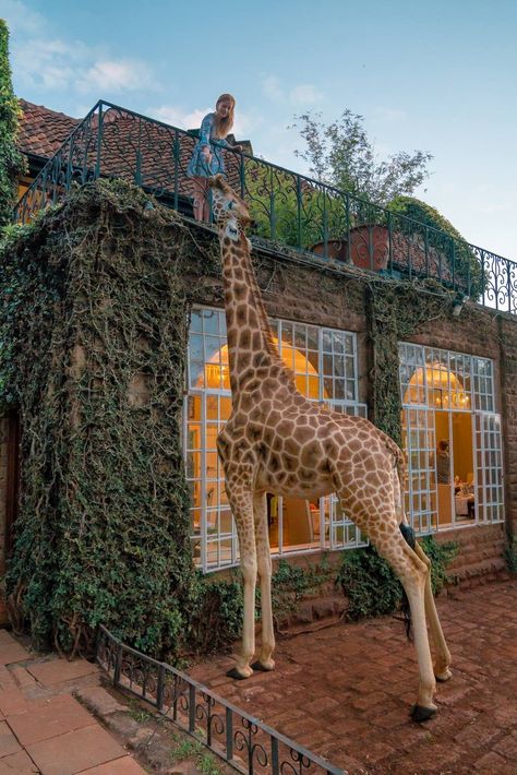 Travel Aesthetic Africa, Giraffe Manor, Kenya Travel, Nairobi Kenya, A Giraffe, Tulum Mexico, Beautiful Places In The World, Nairobi, Africa Travel