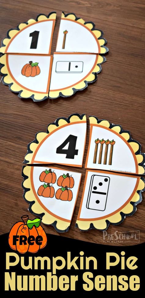 Harvest Small Group Activities Preschool, Preschool Manipulatives, Preschool Pumpkins, Preschoolers Activities, Pre K Math, Thanksgiving Activities For Kindergarten, Fall Math Activities, Pumpkin Math, Thanksgiving Activities Preschool