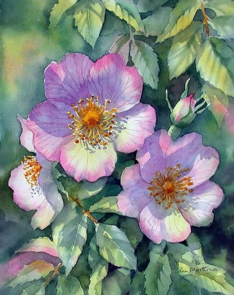 Ann Mortimer, Negative Painting, Art Tutor, Watercolor Pictures, Watercolour Flowers, Watercolor Flower Art, 수채화 그림, Watercolor Flowers Paintings, Botanical Painting