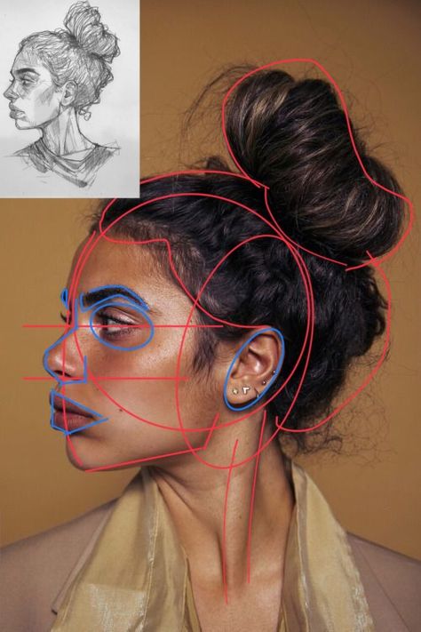 #ArtReference #Reference #Art Easy Reference Photos For Beginners, Drawing Reference Photos Easy, Facial Study Drawing, Reference Photos For Beginner Artists, Drawing 3/4 Face, Portrait Drawing Exercises, How To Draw Faces From Reference, How To Draw Face Reference, Reising Art