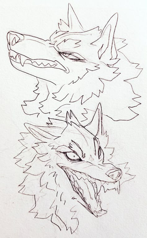 Werewolf Drawing, Wolf Sketch, Canine Drawing, Werewolf Art, Canine Art, Anthro Art, Creature Concept Art, Animal Sketches, Wolf Art