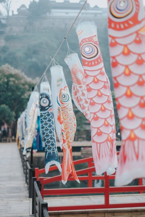 Assorted-colorful Fish Lanterns · Free Stock Photo Japanese Fish Lantern, Koi Fish Kite, Chinese Fish Lantern, Koi Fish Lantern, Paper Fish Lantern, Fish Lanterns Diy, Paper Lantern Fish, Fish Kites, Fish Kite