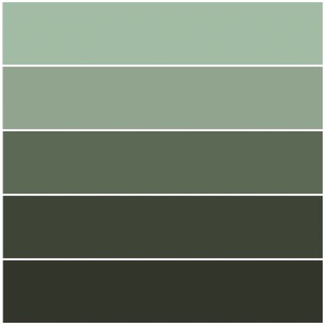 Dark Green Shades Colour Palettes, Pale Forest Green, Muted Green Palette, Muted Green Colour Palette, Dark Green Colour Pallete, Dark Academia Color Palette Green, Sage Green Swatch, Green Colors Shades, Muted Green Aesthetic