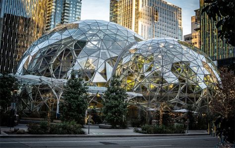 ♥ The Amazon Spheres Lenora Street Seattle photograph Amazon Spheres, Seattle Ferry, Australian Trees, Asian Art Museum, Pike Place Market, Washington Usa, Ocean Wallpaper, Sculpture Park, Art Deco Architecture