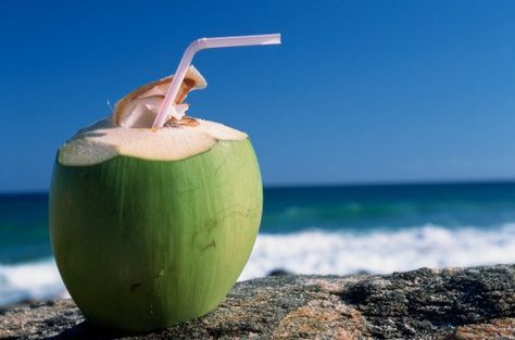 We all have heard that water is tasteless , but what if our water becomes sweet, full of electrolytes that energizes our body from within ?? This amazing thing is none other than –COCONUT WATER. Coconut is essentially known as the “fruit for life” and its water is divine. Its fresh, cool, and little sweet taste makes it stand out. It has all the electrolytes, potassium and many other minerals that will keep you healthier and stronger. Coconut Water Benefits, Water Health Benefits, Coconut Drinks, Air Kelapa, Water Benefits, Coconut Health Benefits, Stay Young, Coconut Water, Coconut Milk