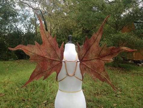 court of the fey wings Leaf Fairy Wings, Leaf Fairy, Diy Fairy Wings, Leaf Wings, Peer Gynt, Fairy Photoshoot, Costume Wings, Autumn Fairy, Elves And Fairies