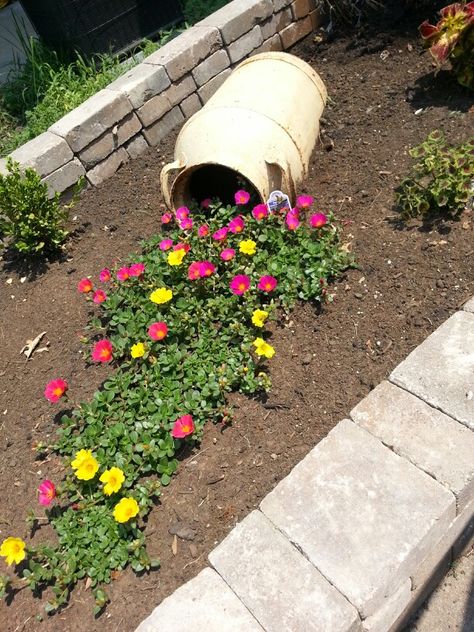 Spilt milk can in the garden :-) Metal Milk Jug Ideas, Grassless Landscaping, Spilled Flower Pot, Broken Pot Garden, Metal Milk Jug, Spilt Milk, Easy Diy Ideas, Fire Pit Landscaping, Bohemian Garden